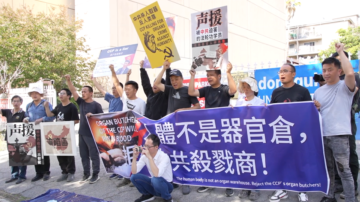 罗帅宇事件持续发酵 洛华人呼吁：停止活摘器官