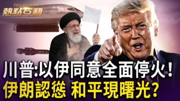 热点互动直播