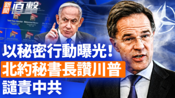 新闻直击