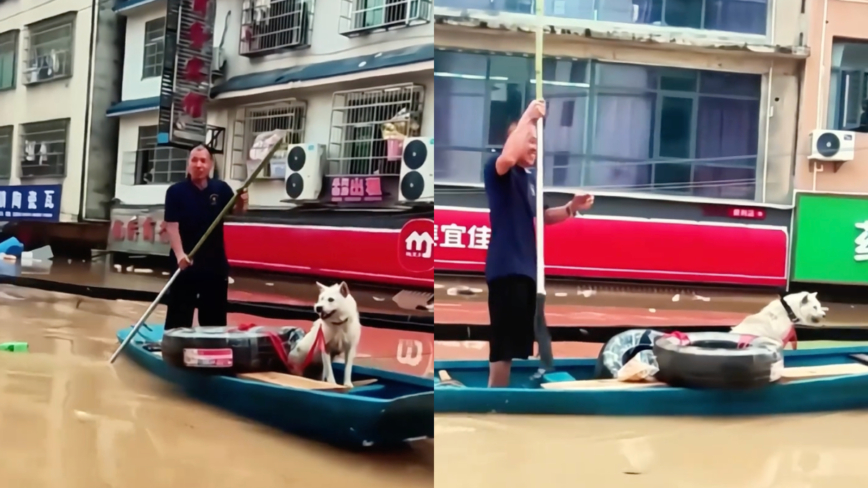 贵州大洪水 白狗拒绝救援 苦等主人（视频）