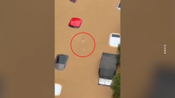 【禁闻】洪水泛滥 贵州街道漂浮尸