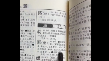 中国字典惊见“孩子小成累赘”例句 网络炸锅