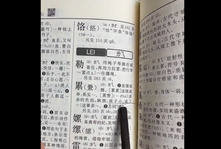 中國字典驚見「孩子小成累贅」例句 網絡炸鍋