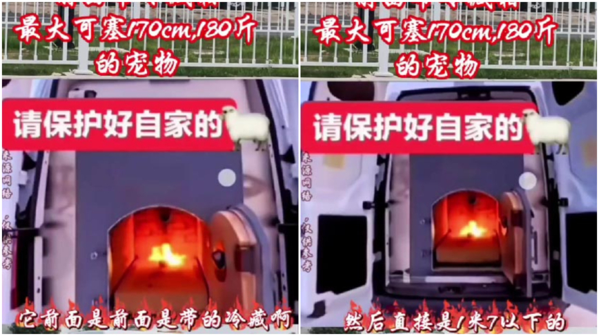 “宠物火化车”可烧“1米7的” 陆男发视频遭生命威胁