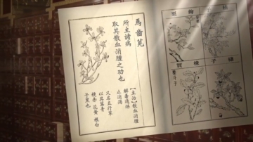 【廣告】普瑞堂植物魚油