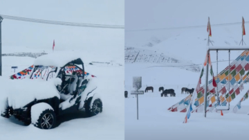 中国青海现7月飞雪 覆盖大草原（视频）