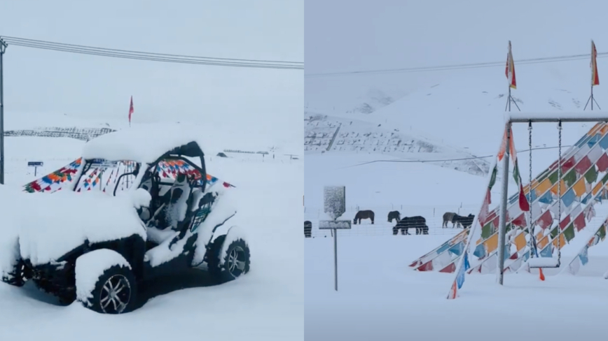 中国青海现7月飞雪 覆盖大草原（视频）