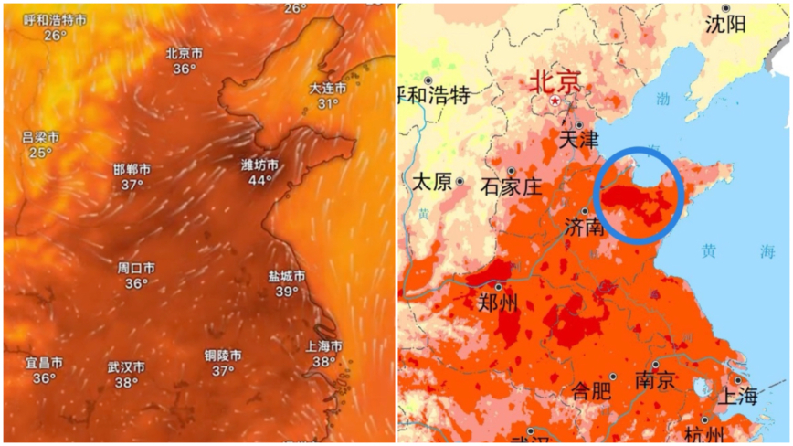 高温榜北方占半数 潍坊43℃成最大黑马 京城变蒸笼