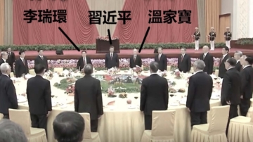 李燕銘：非習派金善文任蔡奇副手 背景複雜