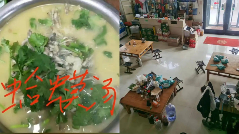 山東飯店老闆娘拍「蛤蟆湯」視頻 被罰45萬