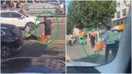 濰坊交警當街攔車 被男子持菜刀砍倒（視頻）