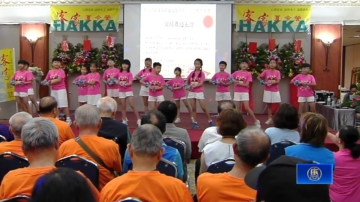 孕育5千名文化種子 台灣客家夏令營熱鬧登場