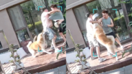 男子拿小狗喝水盆浇花 小狗发火怒撕（视频）