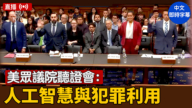 【直播】美眾議院聽證會：人工智慧與犯罪利用