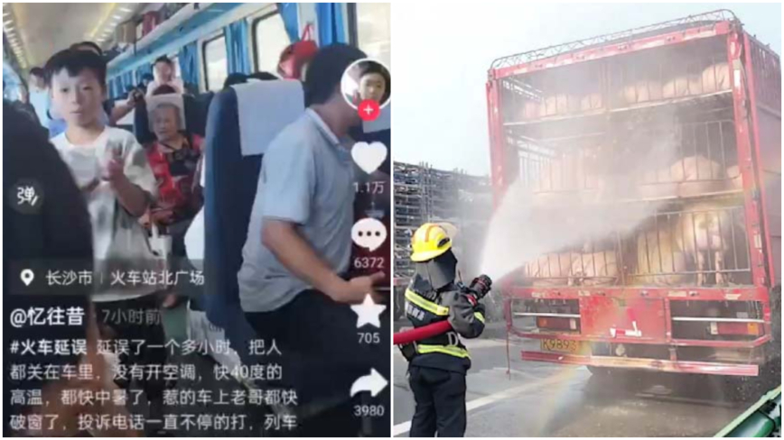 长沙火车高温被困无人管 运猪车堵车消防喷水施救