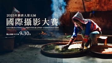 全世界华人系列大赛