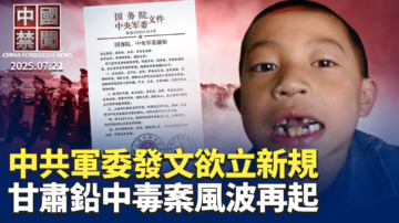 中国禁闻