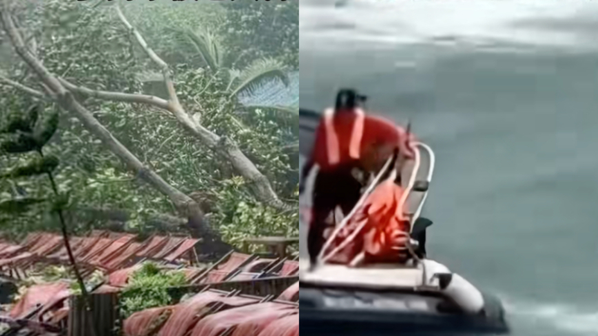 中国游客在泰遇台风 一人被树砸死一人被浪卷走