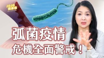 【健康1+1】全球弧菌危機全面警戒！