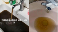 山东一地自来水变黑 官方称干旱所致引质疑