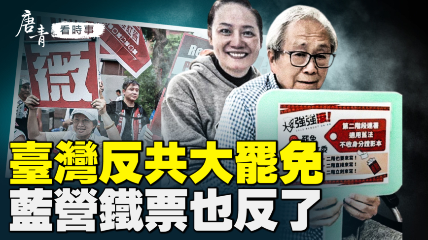 台湾反共大罢免 蓝营铁票也反了