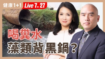 【健康1+1】喝糞水 藻類背黑鍋？