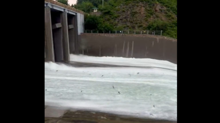 視頻：北京密雲水庫洩洪 大量魚群躍出水面