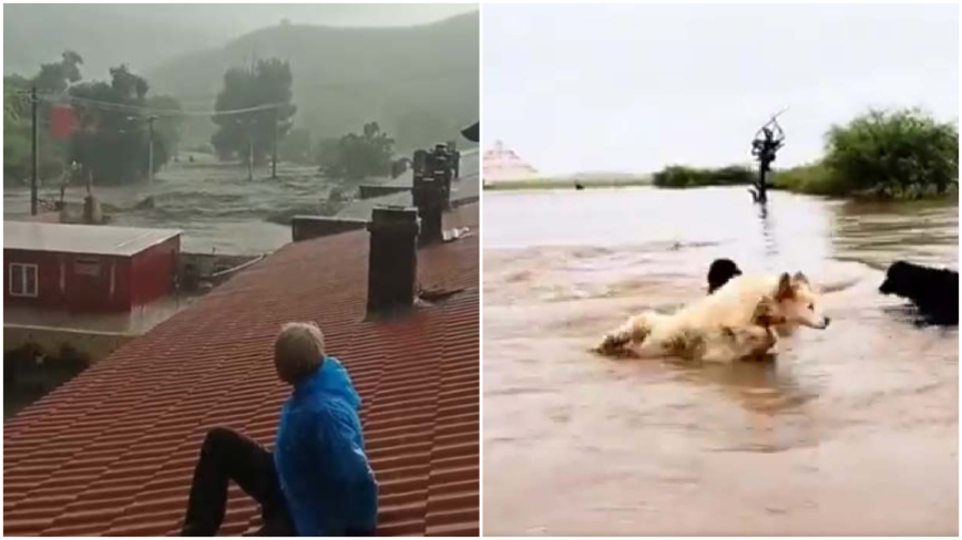 沙漠也下冰雹！内蒙世纪豪雨水淹大草原（视频）