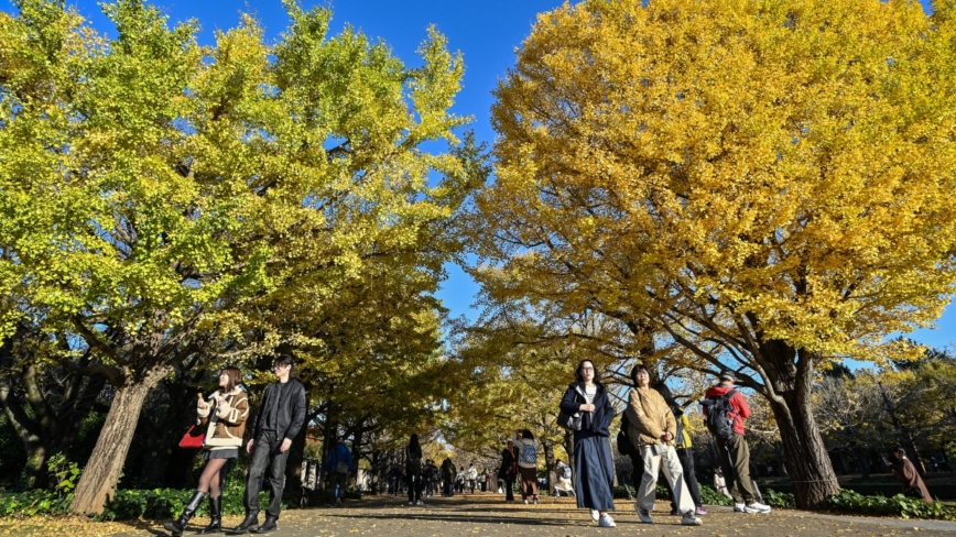 “六月立秋，遍地坟头” 闰月双春年 三种人要“躲秋”