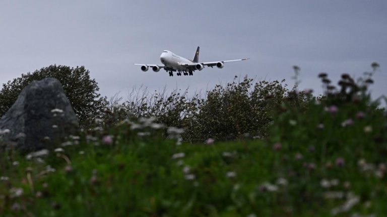 美國「空投蒼蠅」 就為阻止「它」入侵德州