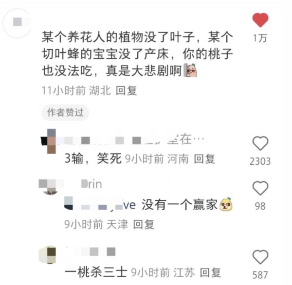 桃核藏葉？桃子被咬開裡面出現一堆新鮮樹葉（視頻）
