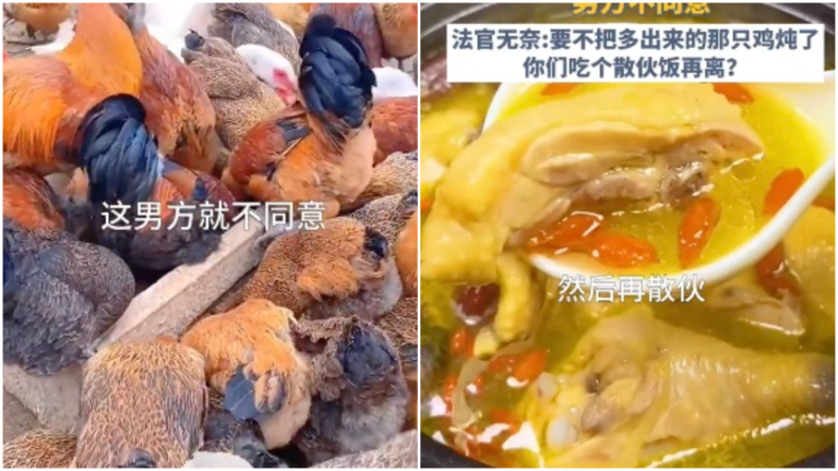 夫妻離婚分53隻雞鴨鵝 多出一隻 法官：吃了再離