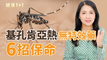 【健康1+1】基孔肯亞熱無特效藥 6招保命