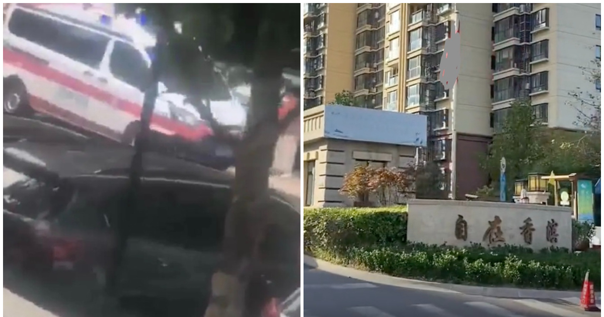 id104009416-FotoJet-74-