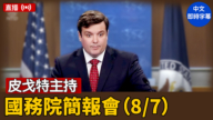 【直播】皮戈特主持國務院簡報會（8/7）