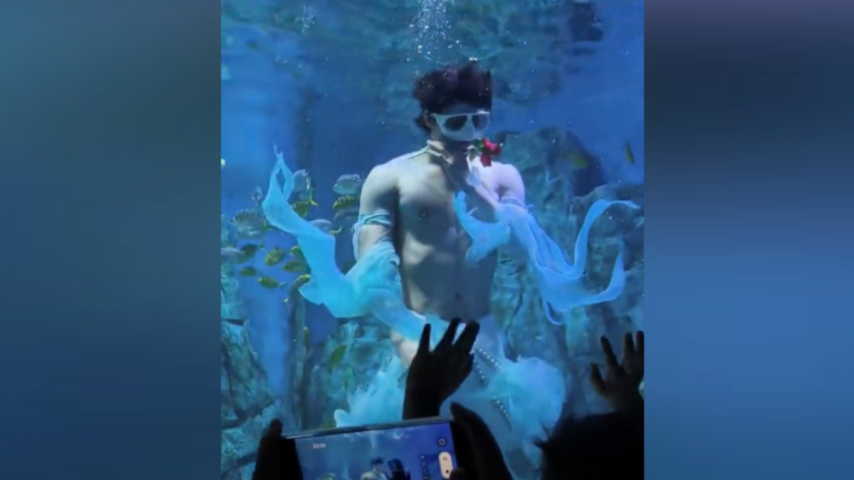 武漢大學生在海洋館表演「男美人魚」走紅