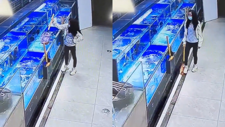 廣東女想買「特價魚」 把活魚撈出先踩死（視頻）