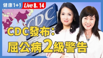【健康1+1】蚊媒疫情拉警報：基孔肯雅熱爆發