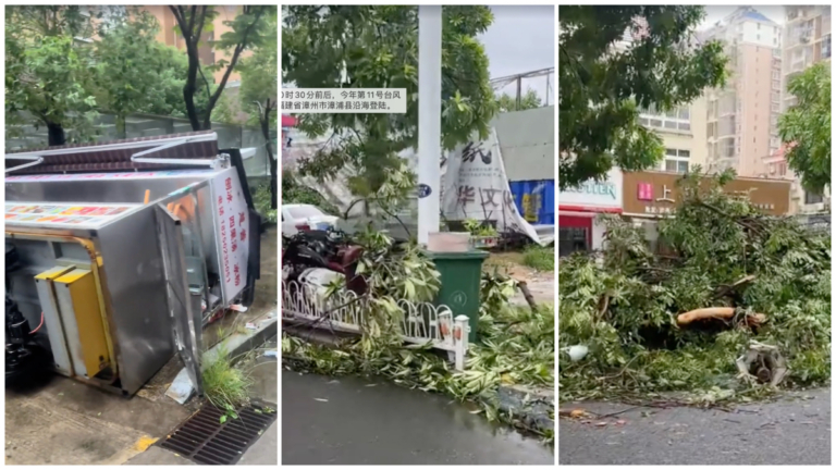 颱風楊柳挾強風豪雨登陸 福建多處傳災情（視頻）