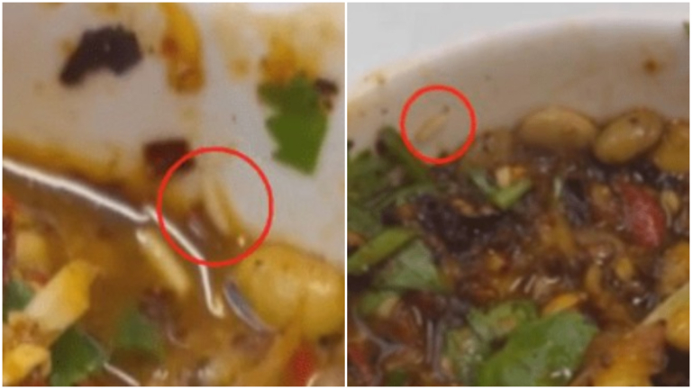噁心！貴陽女吃火鍋驚見活蛆 商家辨：這是蛋白質