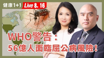 【健康1+1】屈公病无特效药 全球爆发危机