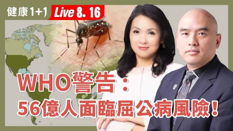 【健康1+1】屈公病無特效藥 全球爆發危機