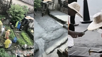 廣東滅蚊太魔幻 水泥封菜地 下水道封死
