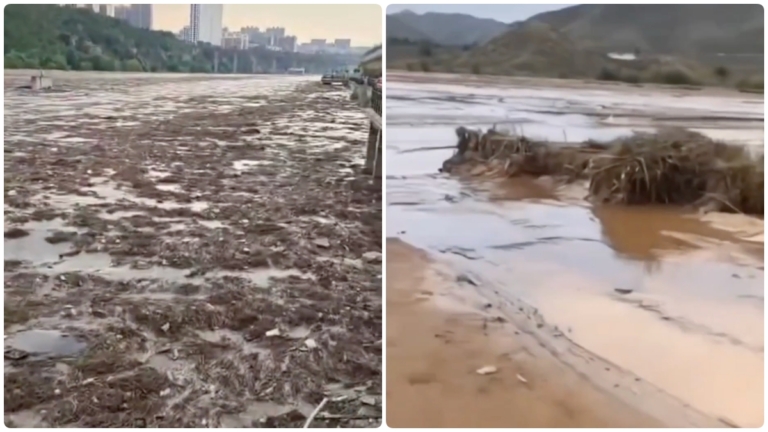 內蒙古多地暴雨大量車泡水 多人遇難
