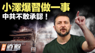 【新闻直击】小泽爆习做一事 中共不敢承认！