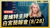 【直播】萊維特主持白宮簡報會（8/28）