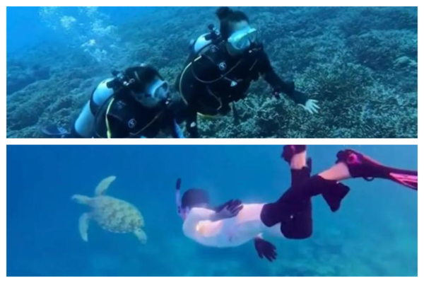 章子怡七夕帶兒女出遊 9歲醒醒潛水似美人魚