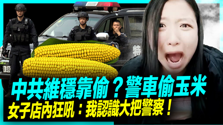 【新聞直擊】中共維穩靠偷？警察開警車偷玉米