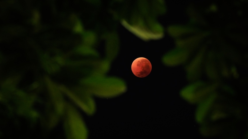 組圖:罕見「血月」高掛夜空 肉眼盡覽奇觀