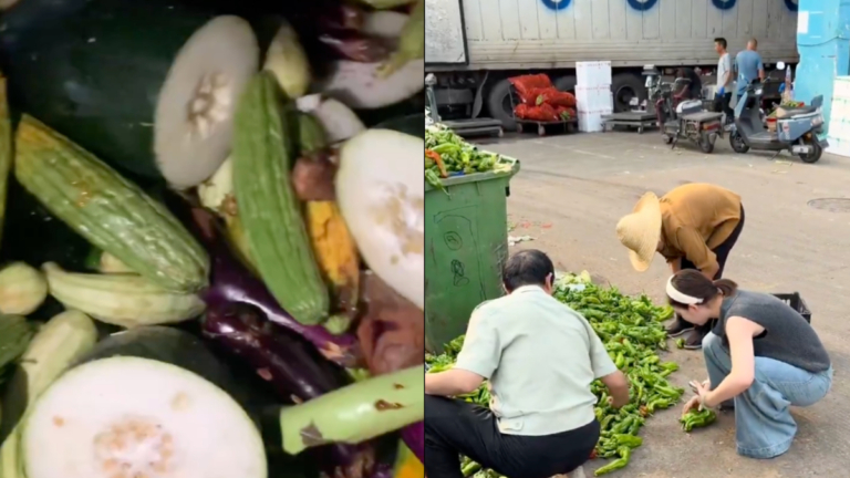 中國多地「撿菜潮」 年輕人開始撿剩菜吃（視頻）